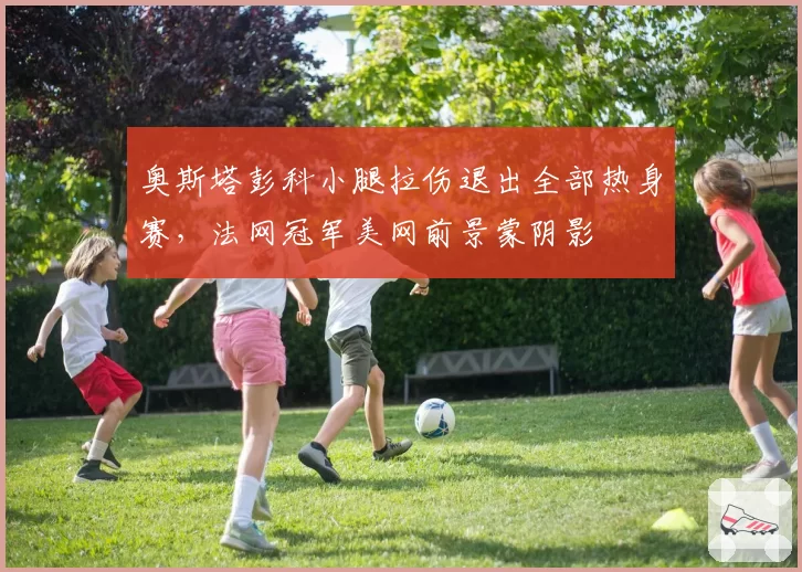 奥斯塔彭科小腿拉伤退出全部热身赛,法网冠军美网前景蒙阴影