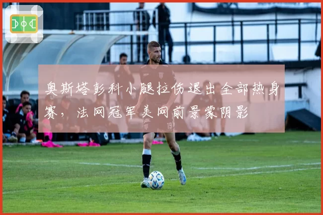 奥斯塔彭科小腿拉伤退出全部热身赛,法网冠军美网前景蒙阴影